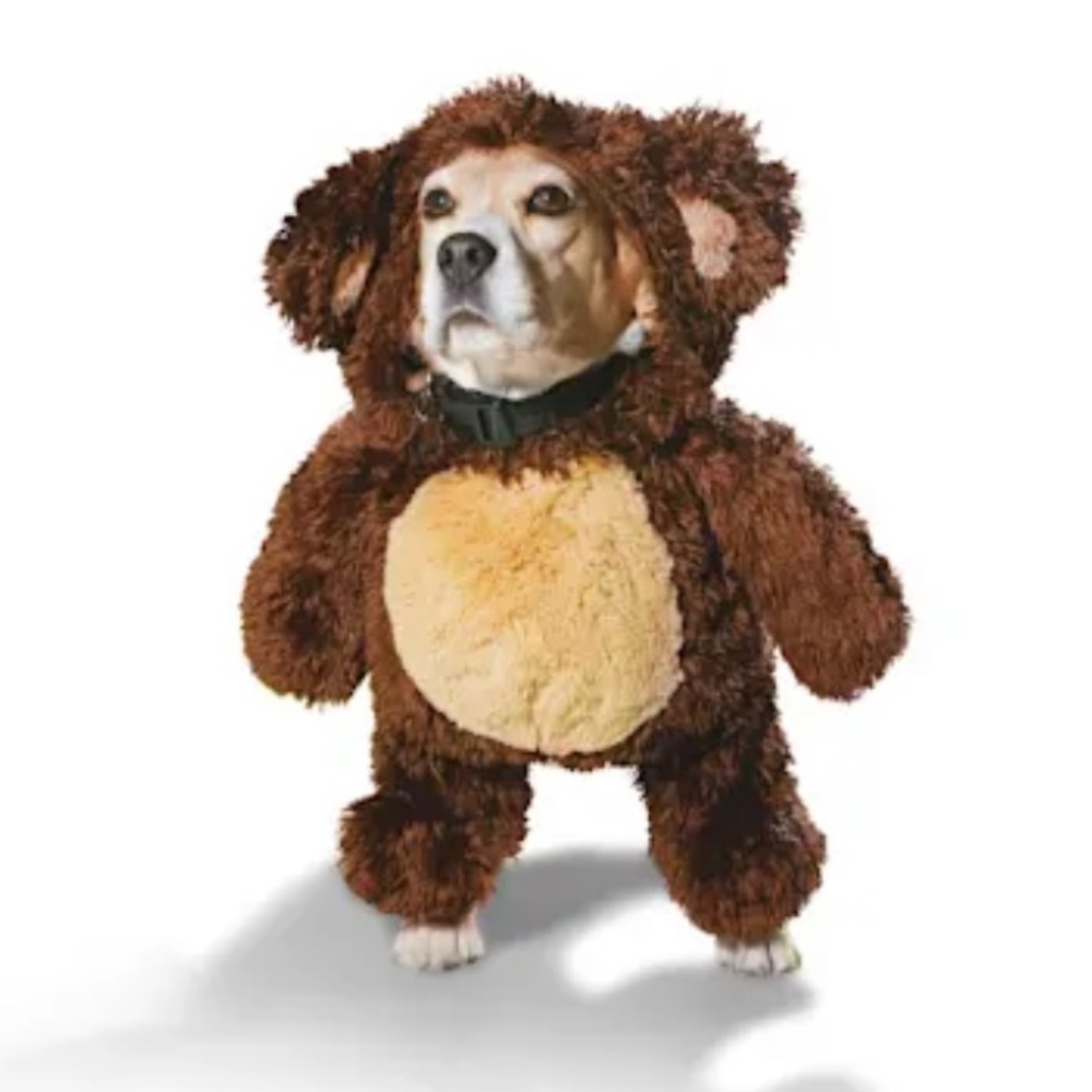 Teddy Bear Costume for Dog